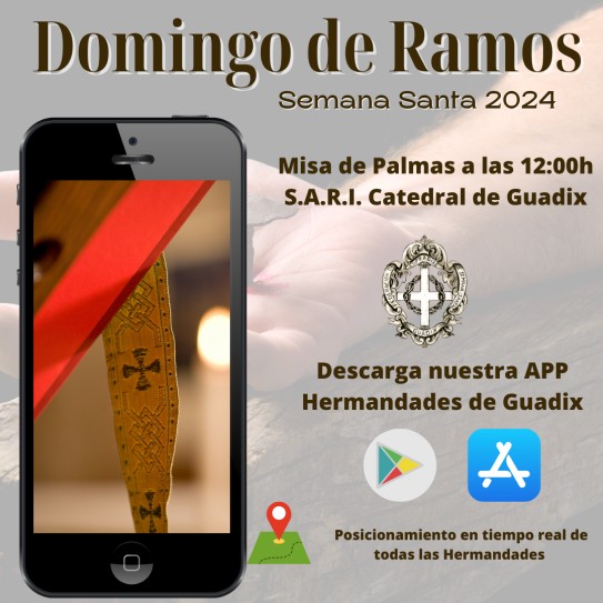 Domingo de Ramos - Misa de Palmas en la S.A.R.I. Catedral