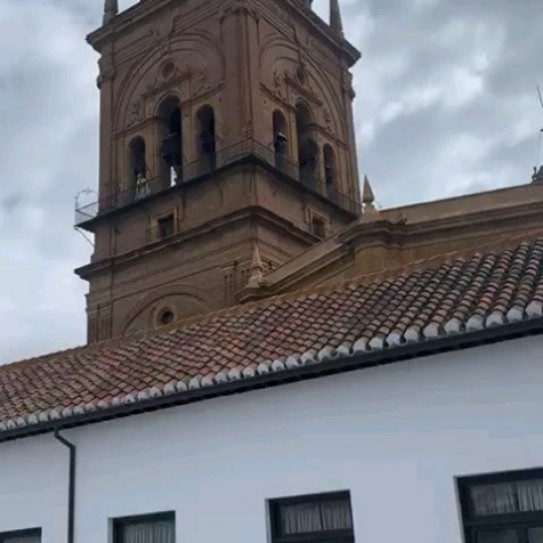 Nuestro Obispo de Guadix el Excmo. Y Rvdmo. Sr. D. Francisco Jesús Orozco Mengíbar bendiciendo, con el Santísimo, a toda la diócesis desde la torre de la S.A.I. Catedral.