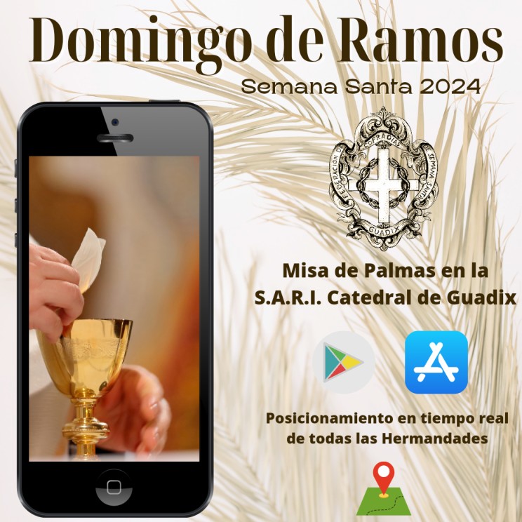 Retransmisión en directo de la Misa de Palmas de la S.A.R.I. Catedral de Guadix en directo