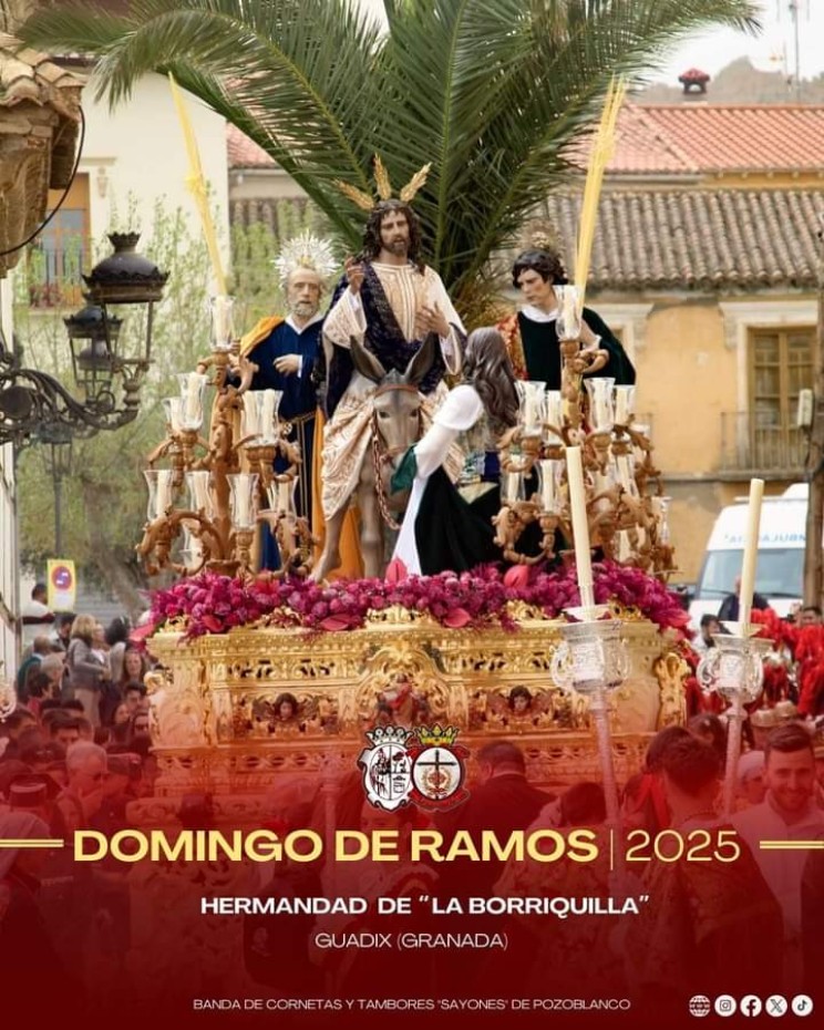 Domingo de Ramos 2025 - Hermandad de la Borriquilla | Federación de ...