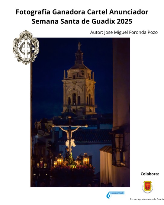 Veredicto del Jurado: Selección de la Imagen para el Cartel de la Semana Santa de Guadix 2025